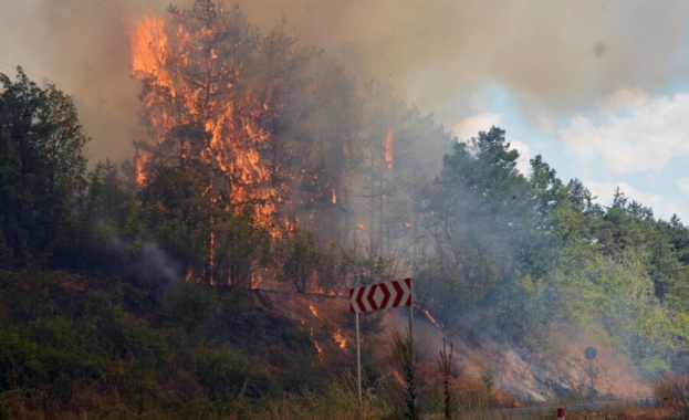 Отменено е бедственото положение заради пожарите в Хасковска област Огънят