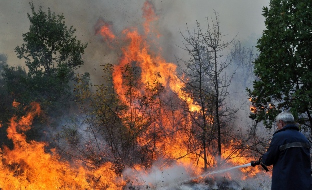 Пожарът край харманлийското село Шишманово обхвана площ от над 1000