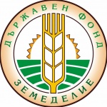 Земеделските стопани получиха над 178 млн. лева доплащане по държавната помощ заради войната в Украйна