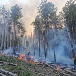 Голям пожар бушува край Сатовча