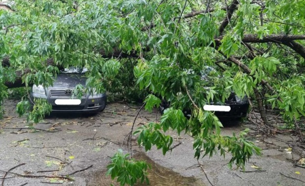 Буря придружена с градушка удари днес преди обяд Симеоновград Тя