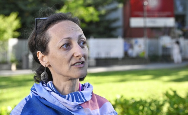 Ширин Ходжева: Само 13 са кризисните центрове за защита от насилие в цяла България