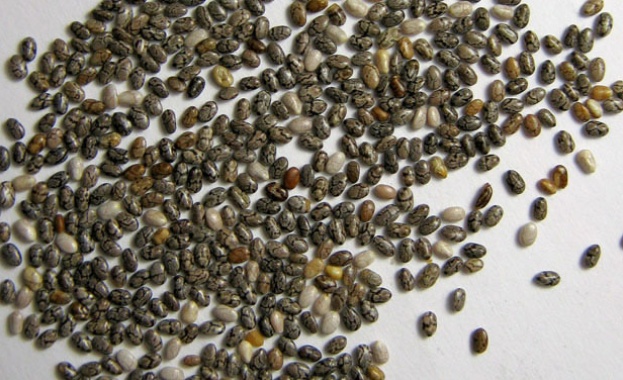 Семената от чиа са познати още от древността но станаха