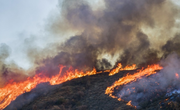 Два дни пожарникари и доброволци се борят с огнената стихия