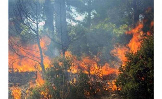 Локализиран е пожарът в Харманлийско, продължава борбата с огъня в Сакар планина