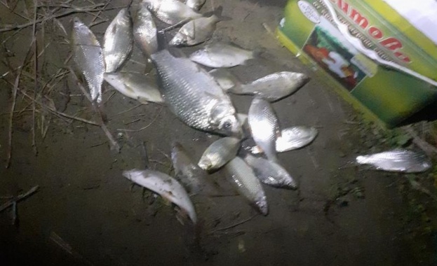 При извършена рутинна проверка на общински язовир Липник в землището