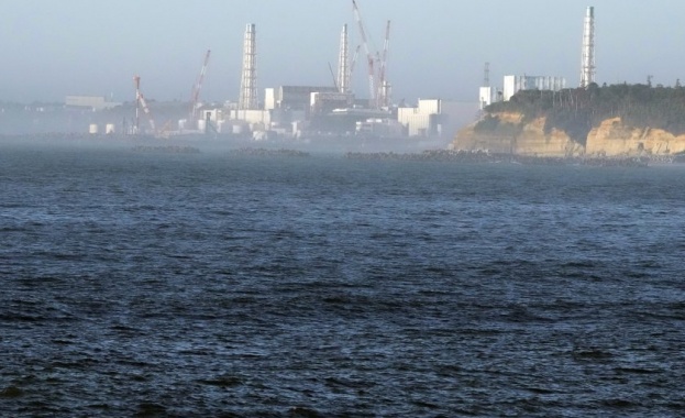 Япония каза, че няма следи от радиация в рибата около Фукушима