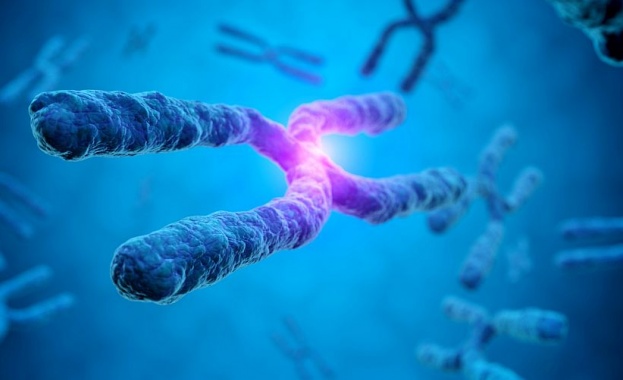 Учени направиха важна крачка напред в разбирането на човешкия геном