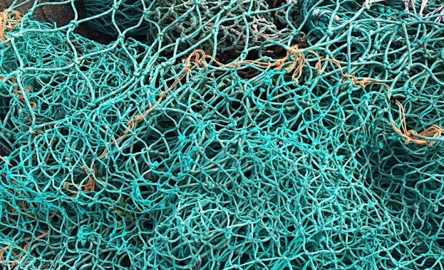 Преди известно време до Организация за закрила на българските граждани