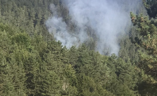 Продължава гасенето на пожара край селата Понор Безден и Василовци