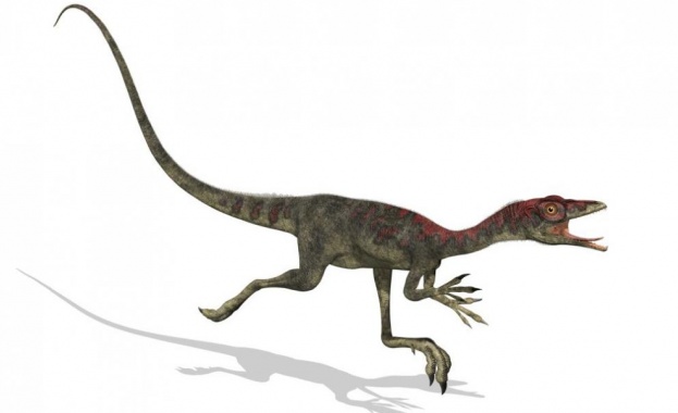 В Англия откриха останки от непознат вид динозавър с размерите на кокошка