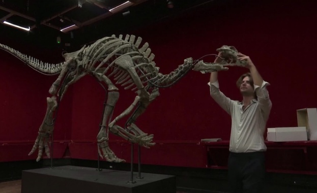Продават на търг в Париж рядък скелет на динозавър