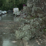 Бурята в Румъния взе три жертви