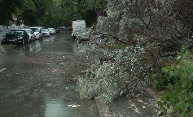 Пет души са били отрити мъртви в Източна Румъния след