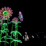 "Вълшебната градина" отваря за посетители в Ботаническата градина на БАН 