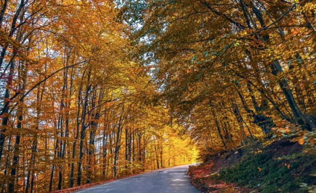 Републиканските пътища вече са в режим на зимно поддържане Въпреки