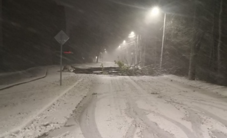 САЩ: Десетки милиони са в ледената прегръдка на зимата