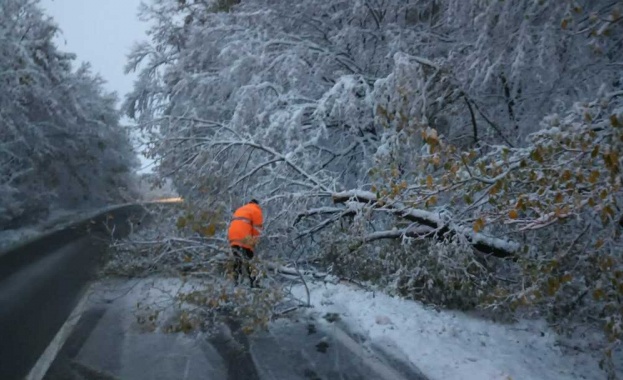 Първият сняг в Румъния предизвика проблеми по пътищата на страната