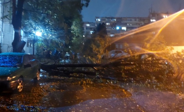 Ураганният вятър във Варна е взел жертва по информация