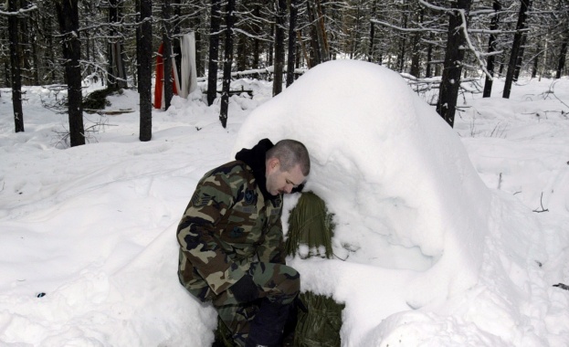 Стотици служители на шестте Държавни горски предприятия и горските и