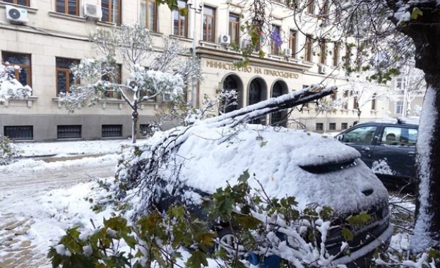 Как да действаме, ако колата ни бъде повредена след природно бедствие