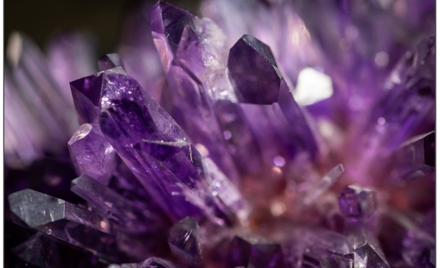 На 8 9 и 10 декември в Националния Музей Земята