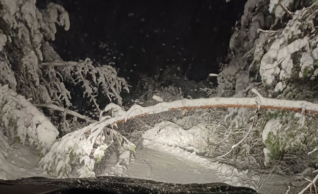 В резултат на продължителния дъжд примесен с мокър сняг в