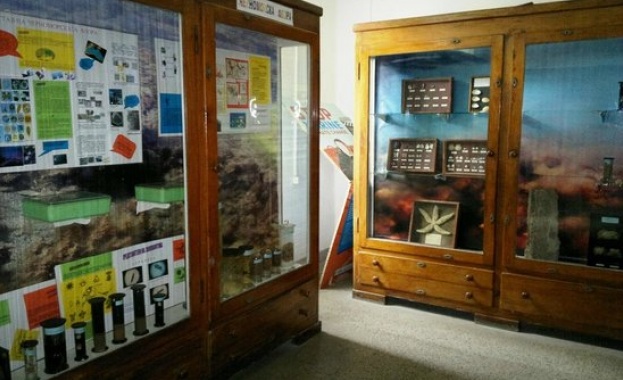 Множесто типични черноморски видове сладководни и екзотични декоративни риби Това