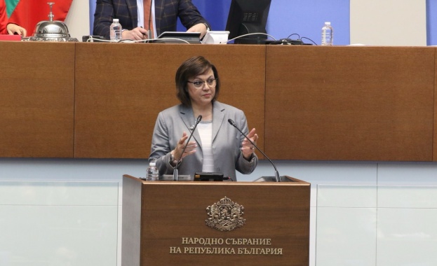 Нинова за конституционните промени: Аматьорство в най-висша степен върху най-висшия закон в държавата