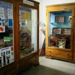 Аквариумът във Варна разкрива тайните на Черно море с вход свободен за жителите и гостите на града