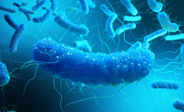 Заради грешка на лаборатория, майка не подозира, че детето ѝ е болно от салмонелоза