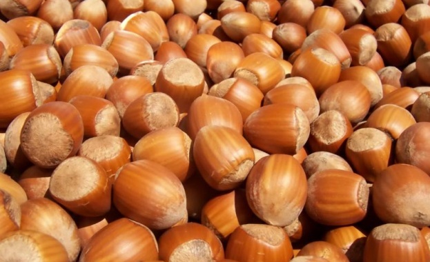 Терапевтът и водещ Елена Малишева заедно с колегата си кардиолог