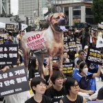 Южна Корея забранява продажбата на кучешко месо