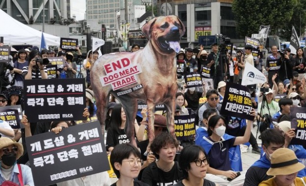 Южна Корея забранява продажбата на кучешко месо