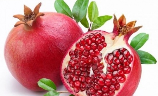 София Стебницкая рефлексотерапевт и специалист назова 5 продукта които ще