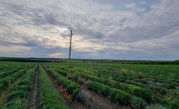Съвместният проект на Електроразпределение Север и Българско дружество за защита