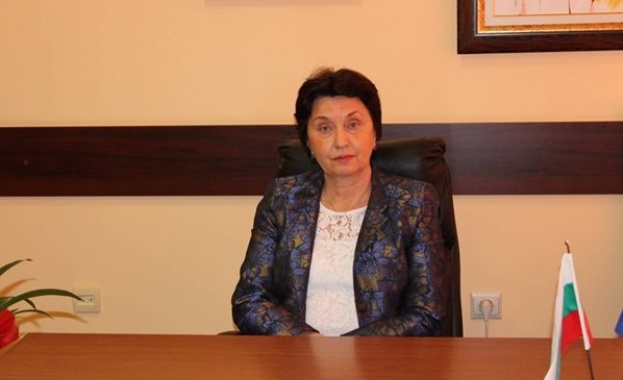 Зам.-министър Лазарова: Нов проект на МОН ще подкрепи деца, родители и учители в детските градини