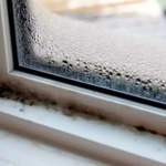 Как да се справим с мухъла и конденза