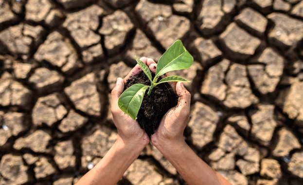 Как Yettel подпомага достъпната наука