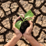 Как Yettel подпомага достъпната наука