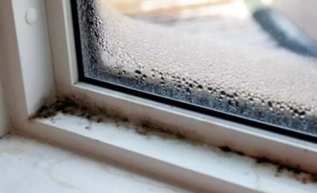 Често хората се сблъскват с проблеми с плачещи прозорци и