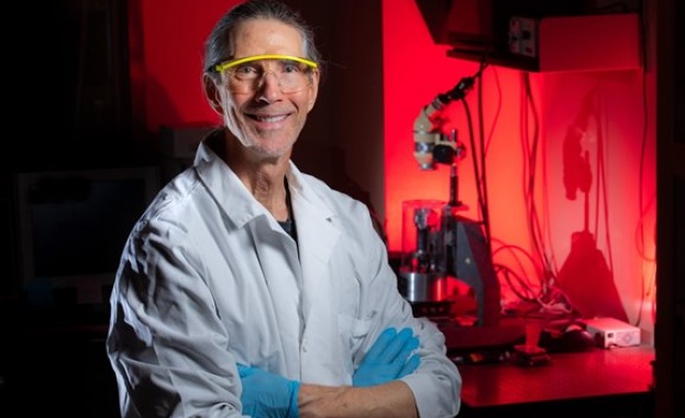 Красива наука само така може да се определи откритието на