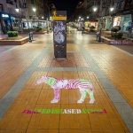 София осъмна с цветни зебри в Световния ден на редките болести