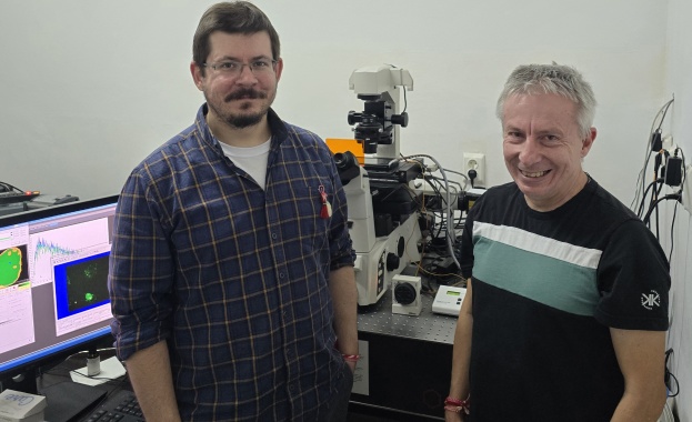 PARP инхибиторите са противоракови лекарства които селективно потискат растежа на