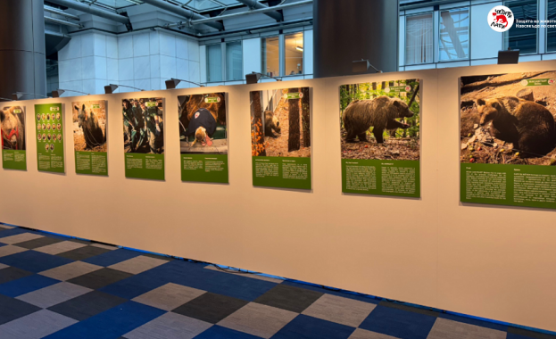 ЧЕТИРИ ЛАПИ представя изложбата "Спасените: 20 години история" в Европейския парламент