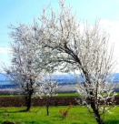 Отново е пролет. Земята е като дете...