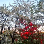 Беше пролет и ...