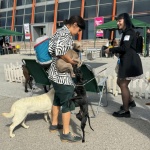 Световни топ кучета на изложба в Пловдив