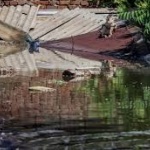 Язовирна стена потопи руския град Орск (ВИДЕО)