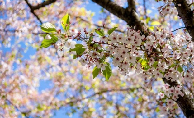 През нощта над по голямата част от страната ще е предимно